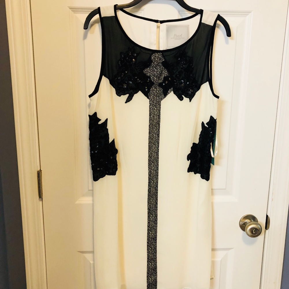 💋💋💋 Ivory and black lace sequin dress